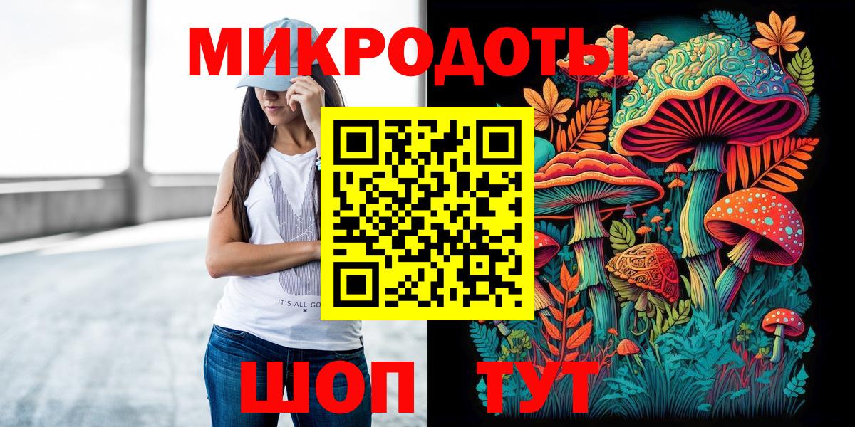 Галлюциногенные грибы Psilocybe  Вход с VPN  Галлюциногенные грибы прущие грибы  Губаха 